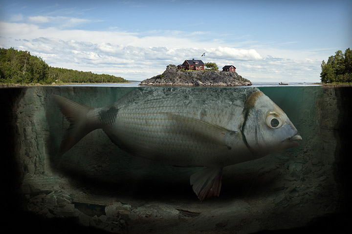 Остров рыба