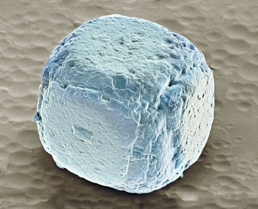 Крупинки сахара под микроскопом